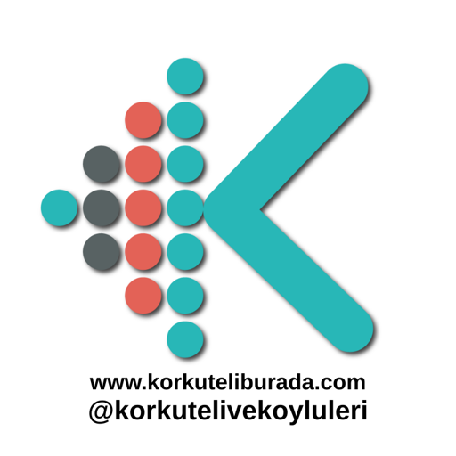 Son Test Firması taslak oluşuyor mu